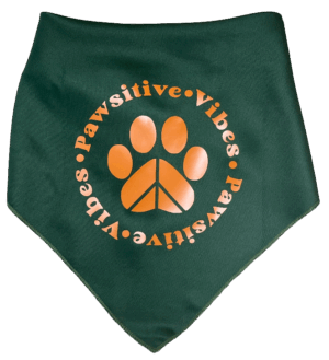 Pawsitive Vibes Pet Bandana